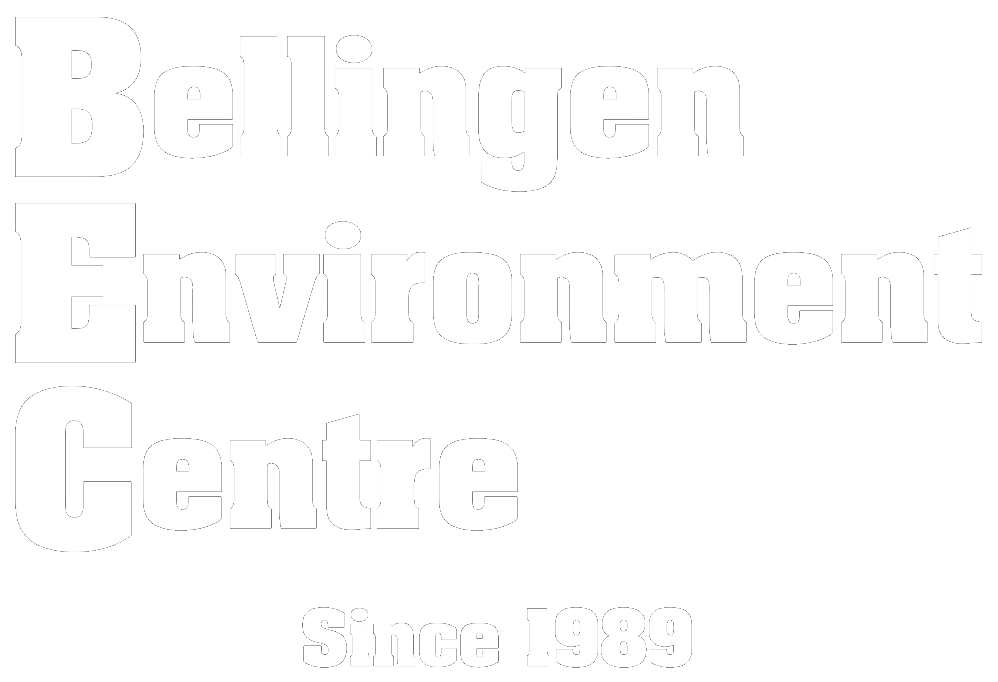 BEC title image