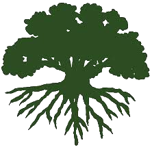 Bellingen Environment Centre logo
